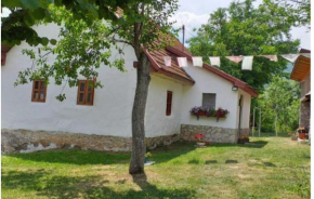 Etno guest house Lalovic